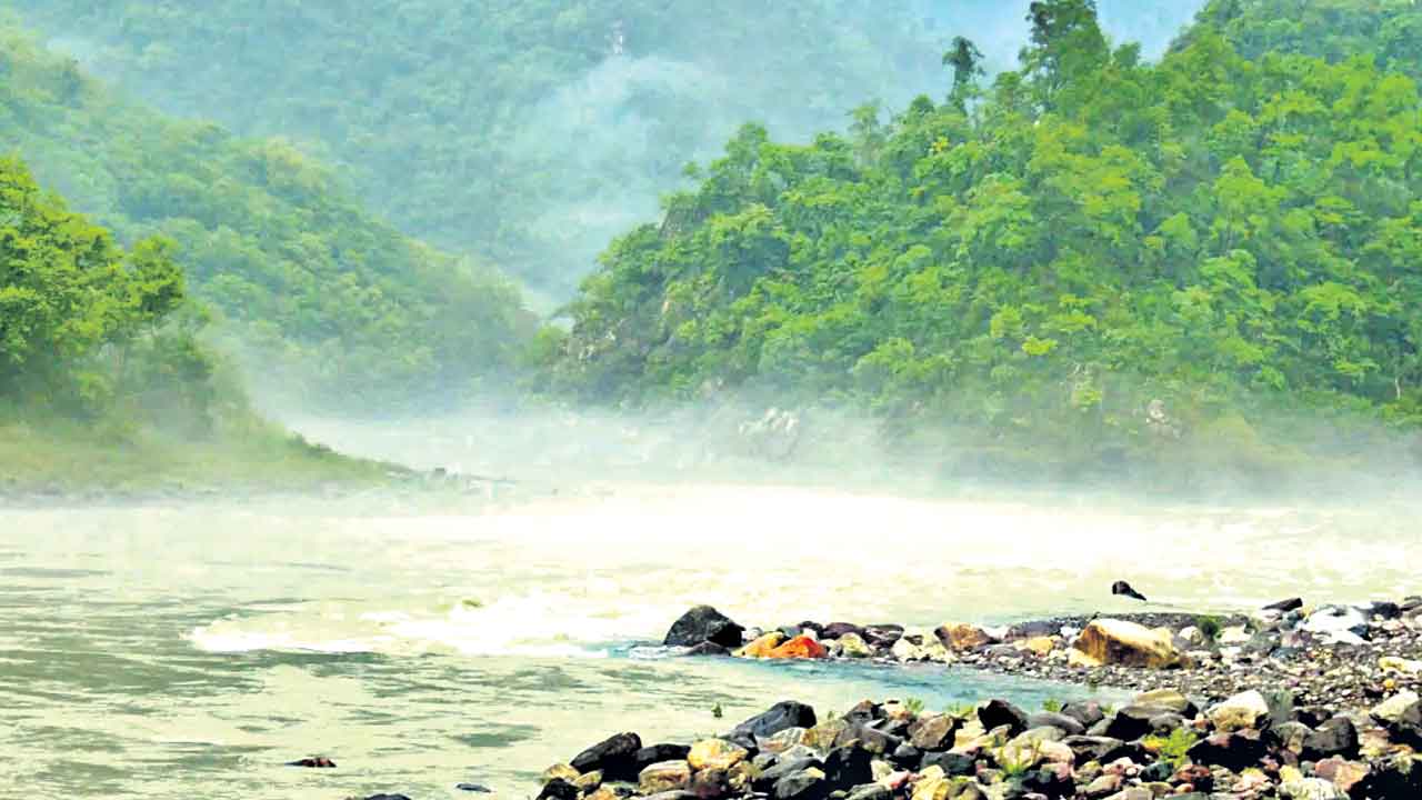 గంగానదిని జాతీయ నదిగా ఏ సంవత్సరంలో ప్రకటించారు?