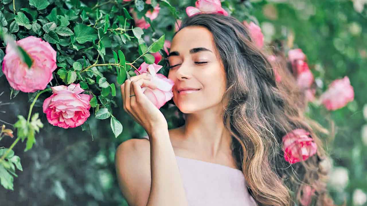 గులాబీ అక్కచెల్లెళ్లు!