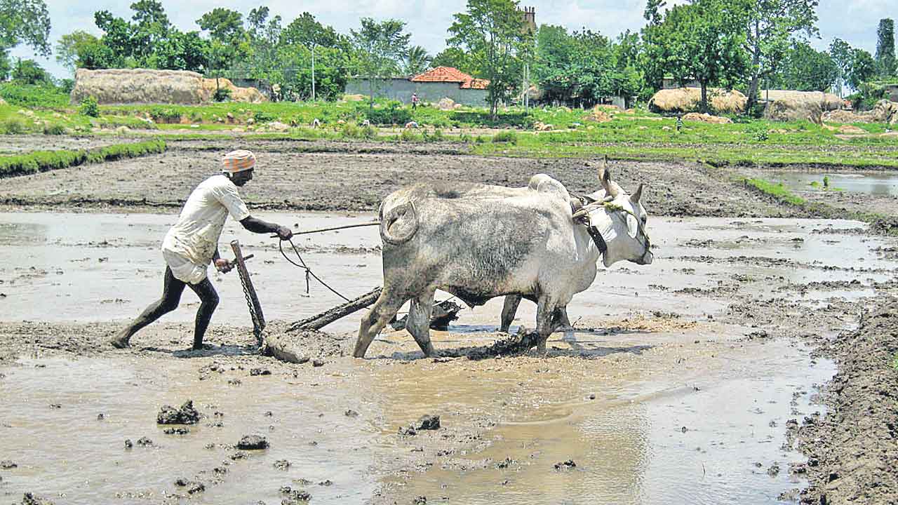 Rythu Bharosa | కౌలు రైతులకూ రైతుభరోసా.. ఈ సీజన్‌ నుంచే ఇచ్చే యోచనలో ప్రభుత్వం!