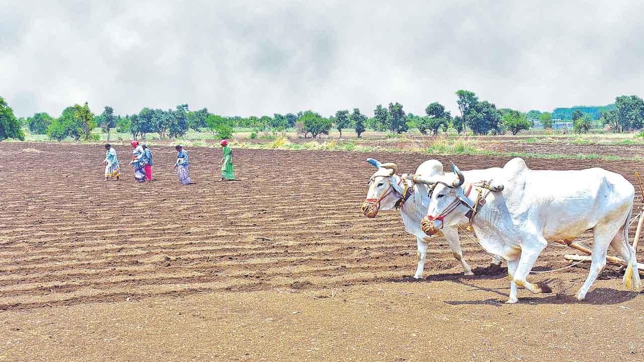 Rythu Bharosa | రైతు భరోసా ఏదీ?.. పెట్టుబడి సాయంపై ప్రభుత్వ కార్యాచరణ నిల్‌