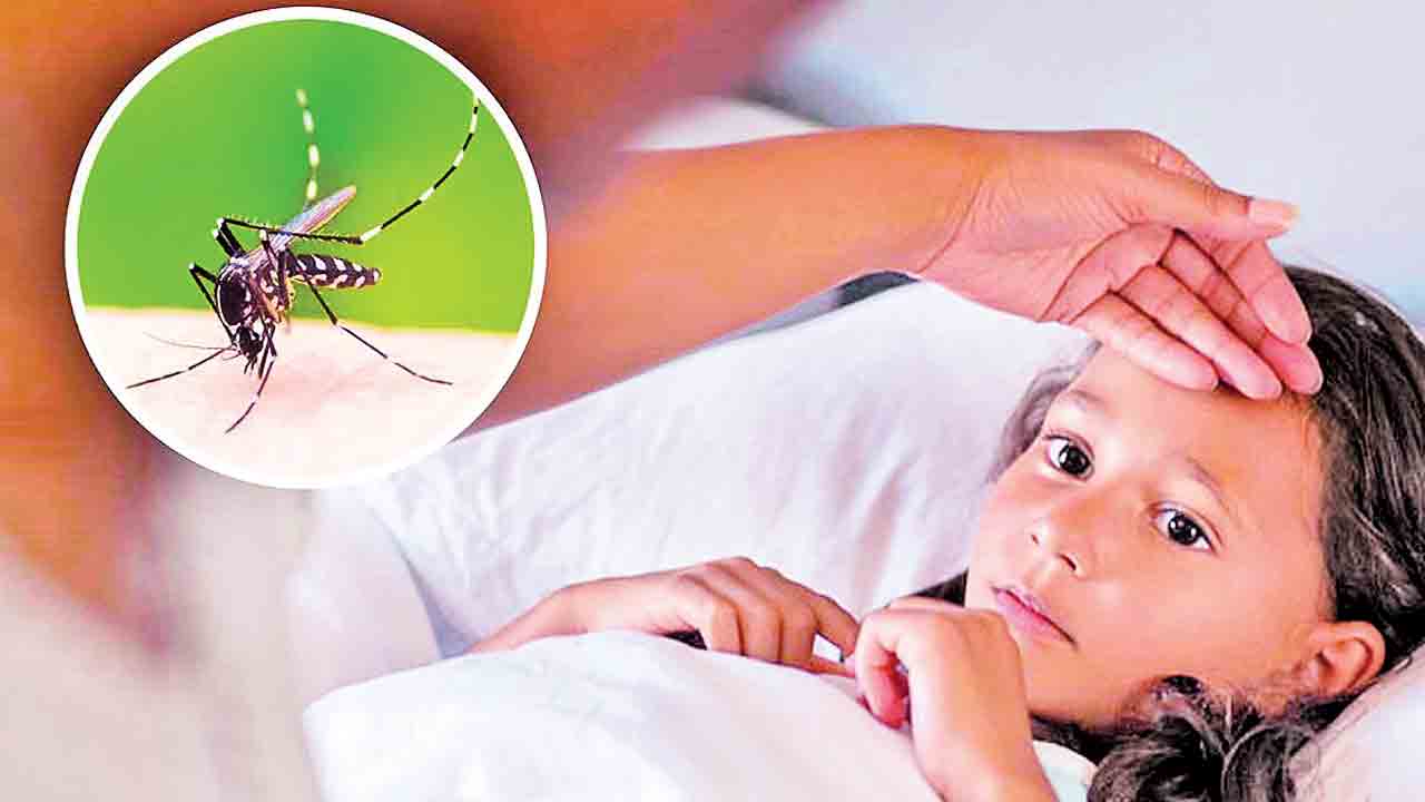 సీజనల్పై అప్రమత్తం