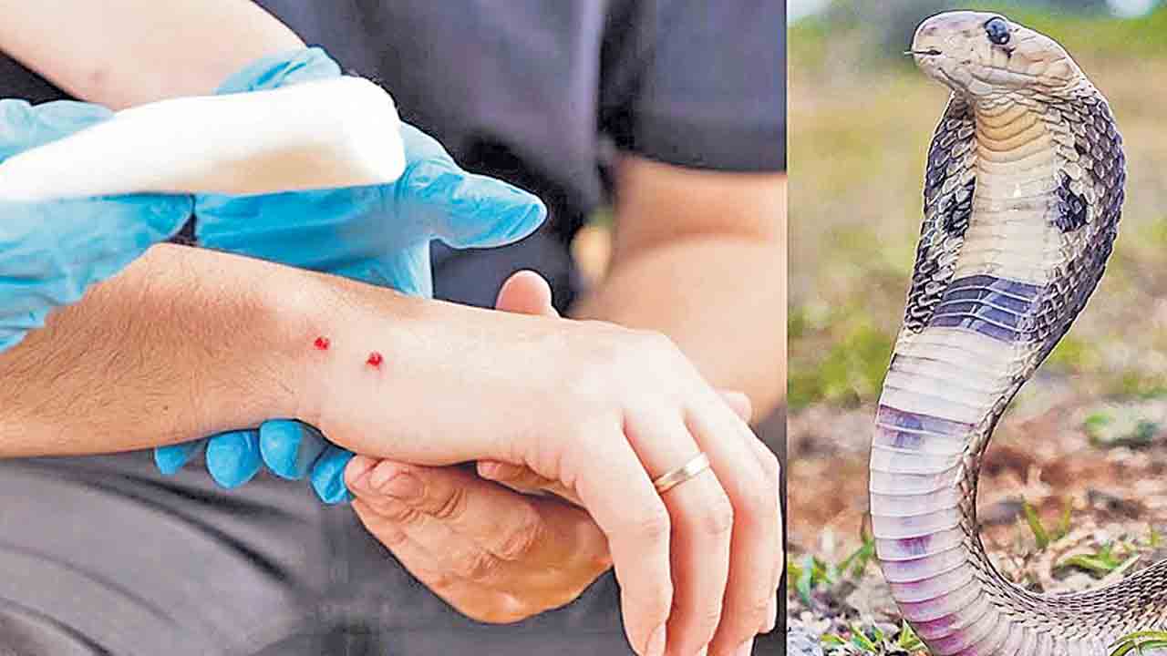 అప్రమత్తతే రక్ష