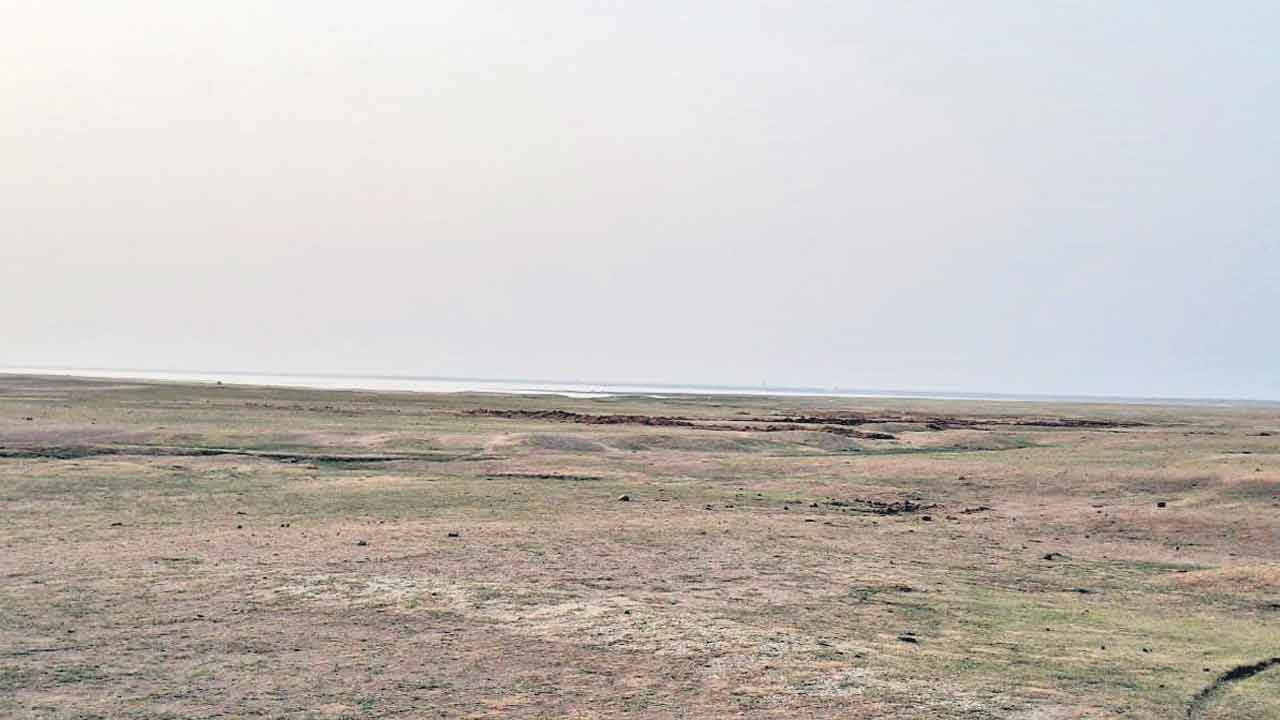 Sriram Sagar | ఎండిపోయిన శ్రీరాంసాగర్‌.. మైదానాన్ని తలపిస్తున్న ప్రాజెక్టు