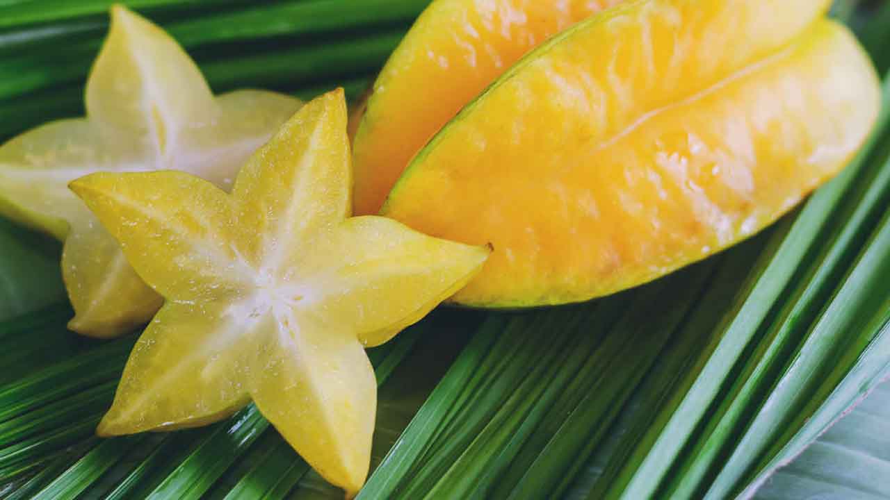 సీజన్‌ స్టార్‌