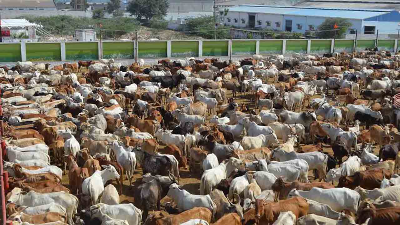Veterinary Hospital | 5100 ఎక‌రాల్లో హైద‌రాబాద్‌లో అతిపెద్ద పశు వైద్యశాల..