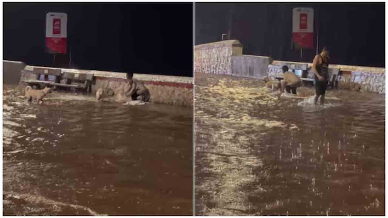 Viral Video | వర్షపు నీటిలో శునకాలతో బాలుడి ఆటలు