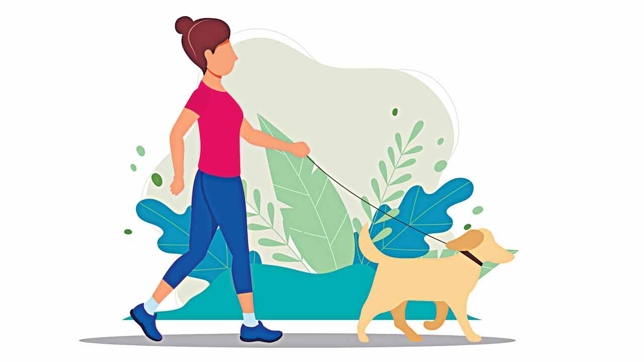 ఉదయమా.. రాత్రా!