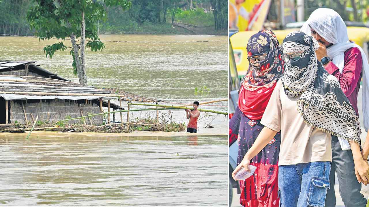 Weather | ఇదేమి వాతావరణం?!.. అదృశ్యమైపోతున్న వసంత రుతువు!