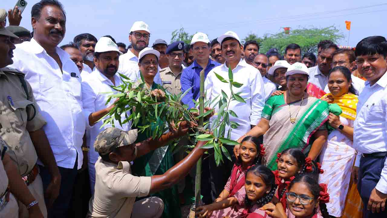నాటిన మొక్కలను సంరక్షించాలి