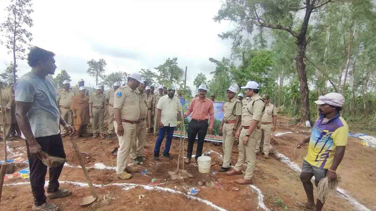 ఏజెన్సీలో విరివిగా మొక్కలు నాటాలి