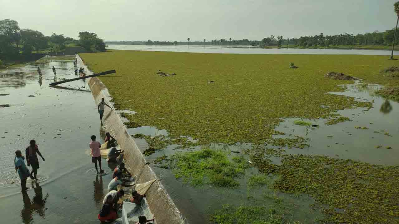 విస్తారంగా వర్షాలు