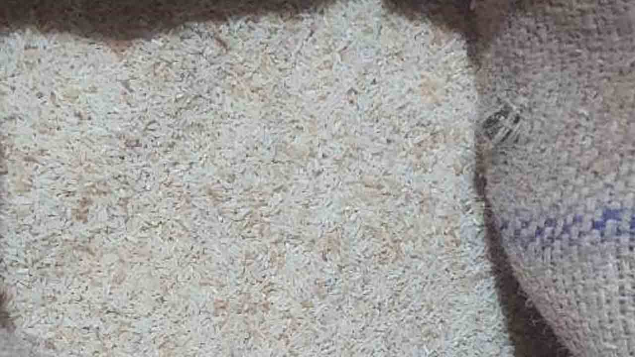 రేషన్‌లో ముక్కిన బియ్యం