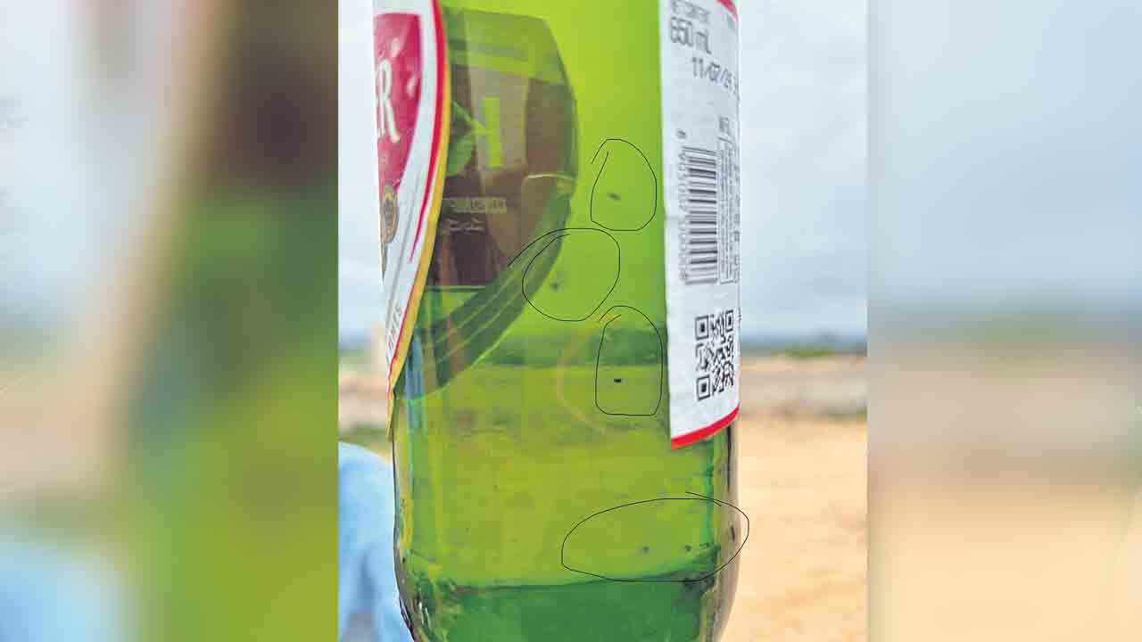 Beer Bottle | బీరు సీసాల్లో పురుగులు.. అవాక్కైన మద్యం ప్రియులు