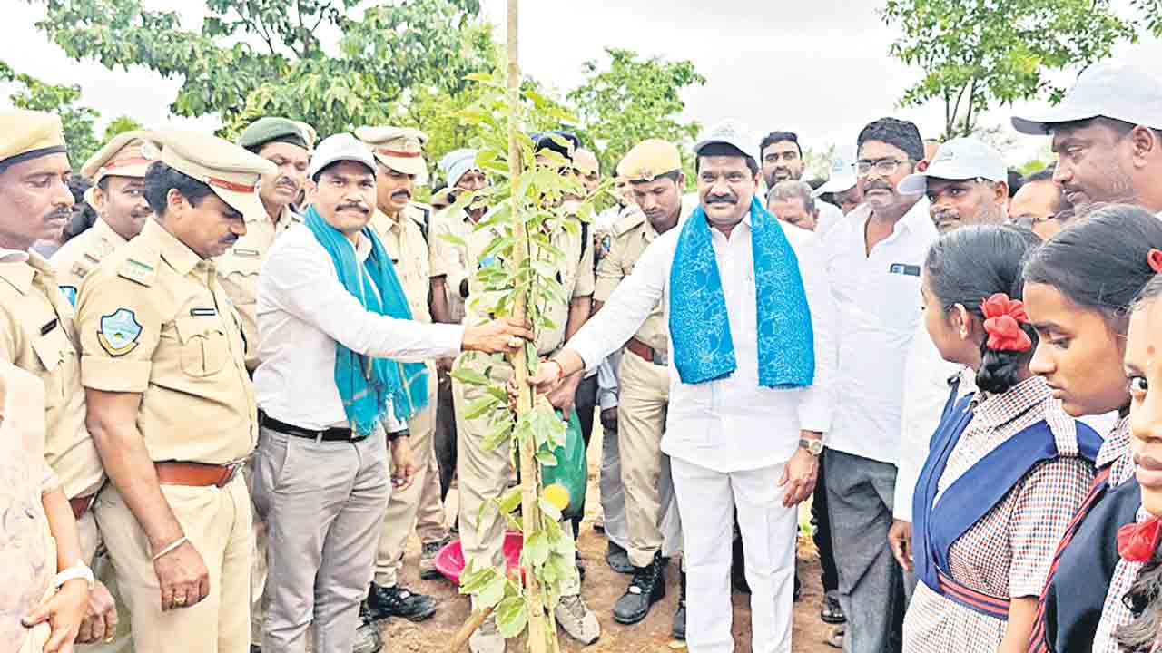 రాజకీయాలకు అతీతంగా హరితహారం