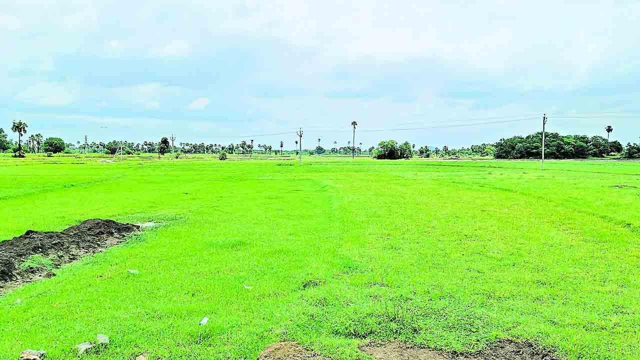 ప్రాజెక్టుల్లో నీటిమట్టం నిల్‌..  ఒక్క శాతం కూడా పూర్తి కాని నాట్లు