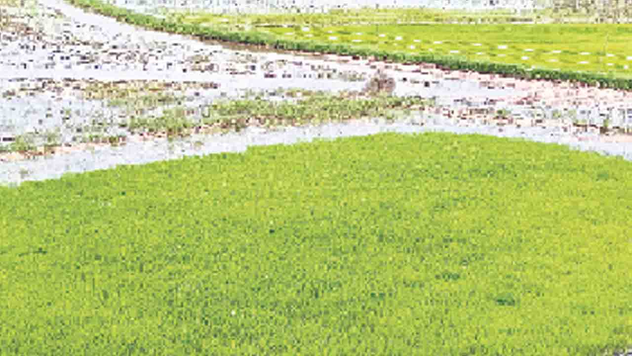 జూరాల టు గోపల్‌దిన్నె.. రిజర్వాయర్‌కు కృష్ణమ్మ పరుగులు