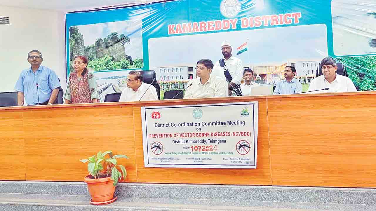 సీజనల్‌ వ్యాధులపై అప్రమత్తంగా ఉండాలి