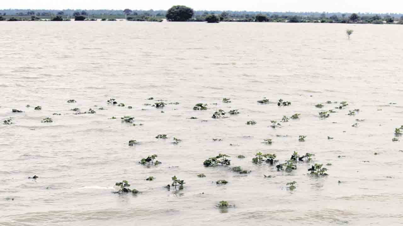ఆగని వర్షం