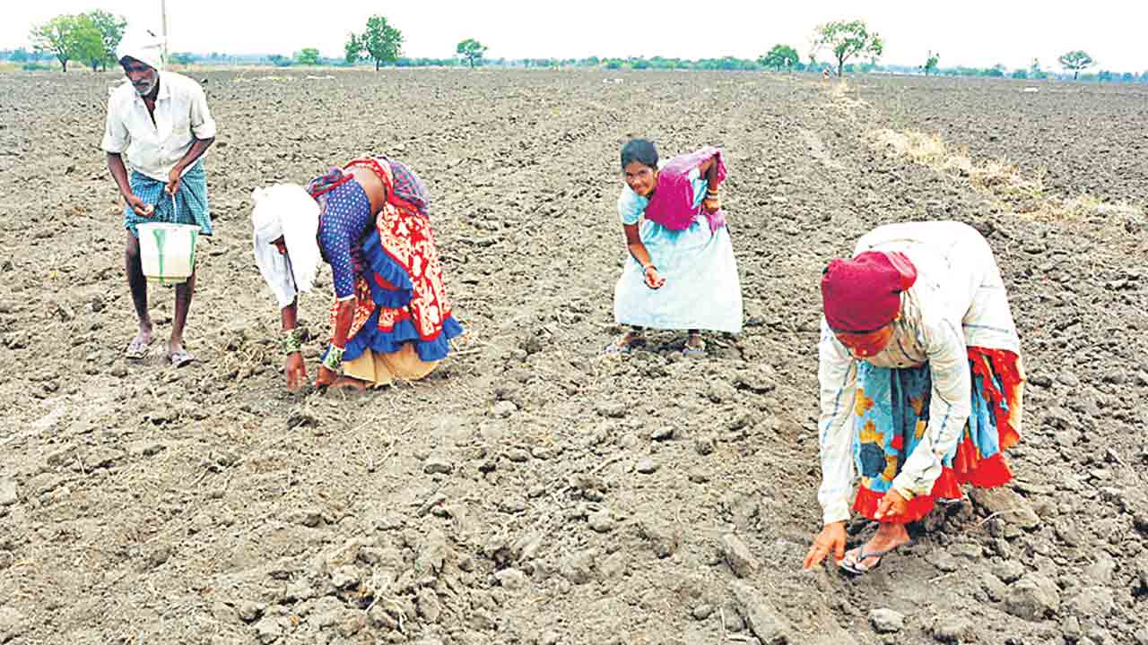 అన్నదాతకు మళ్లీ నిరాశే !