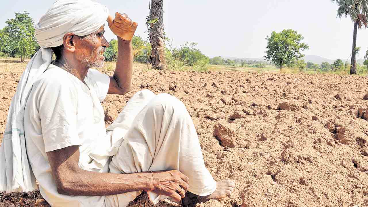 Crop Loans | రెండో దశ రుణమాఫీలోనూ భారీగా కోతలు.. లక్షన్నర మాఫీ 7 లక్షల మందికే!