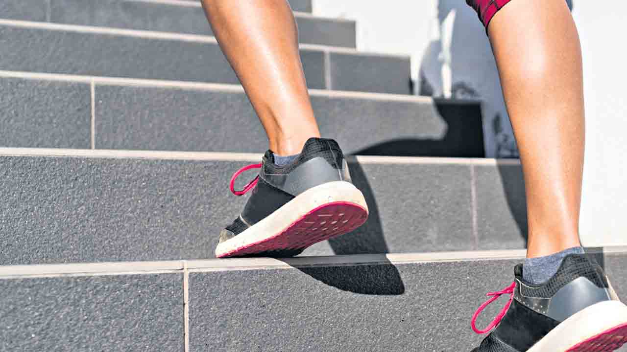 మంచి ఫిట్‌నెస్‌కు ఎక్కేద్దాం మెట్లు