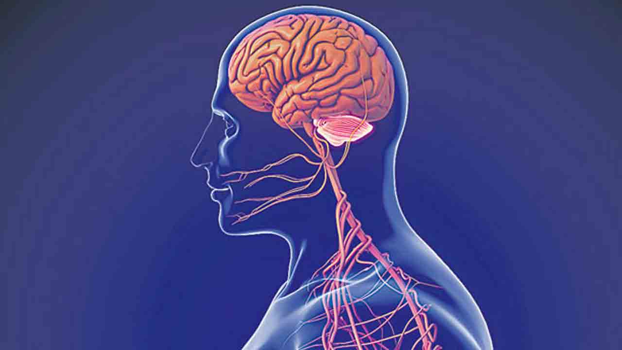 మెదడుకు ముప్పు షిజోఫ్రేనియా