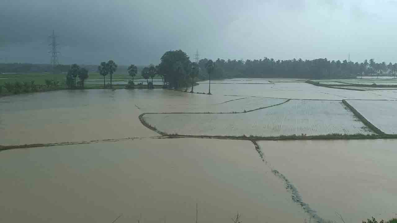 వానే.. వరదై..