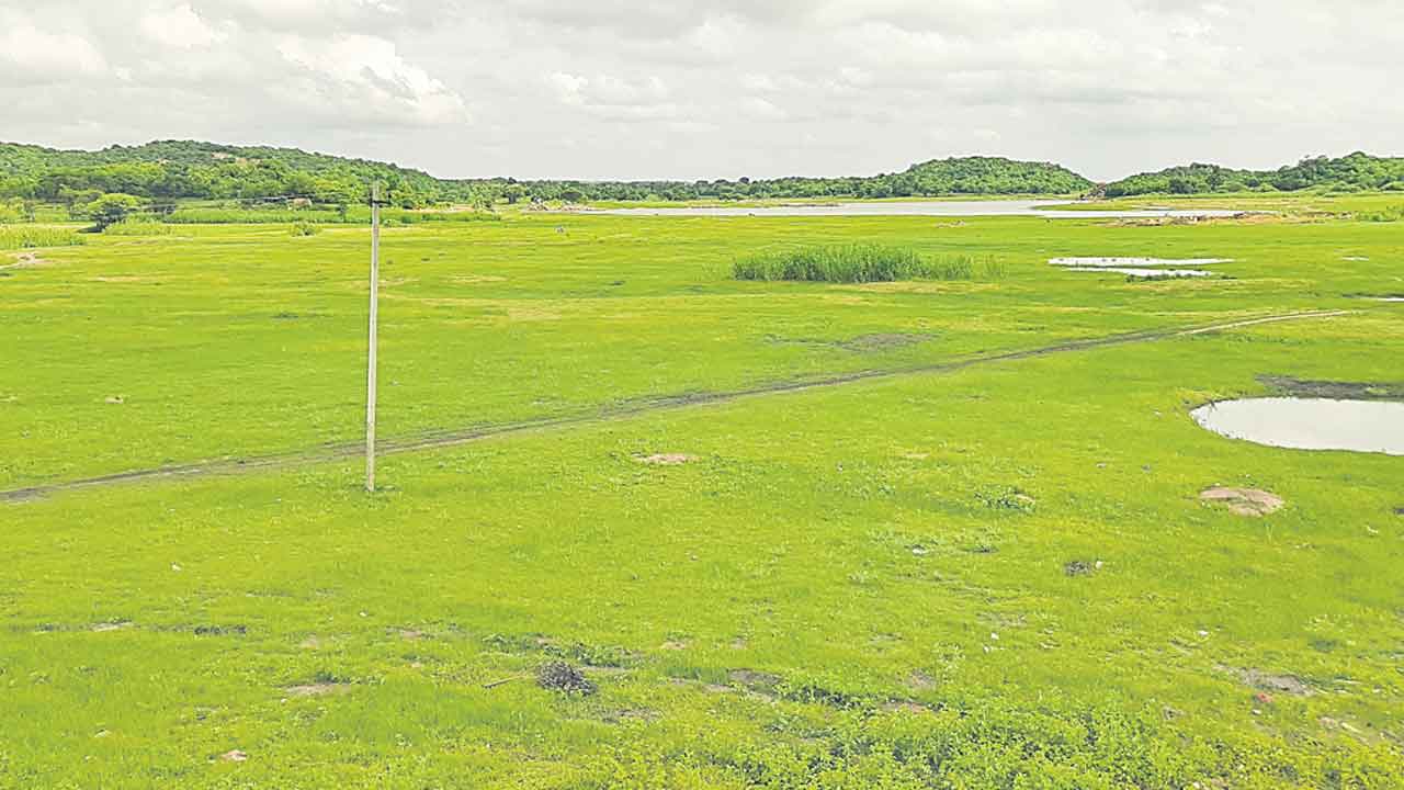 వికారాబాద్‌ జిల్లాలో నిండని ప్రాజెక్టులు.. ఆందోళనలో అన్నదాతలు