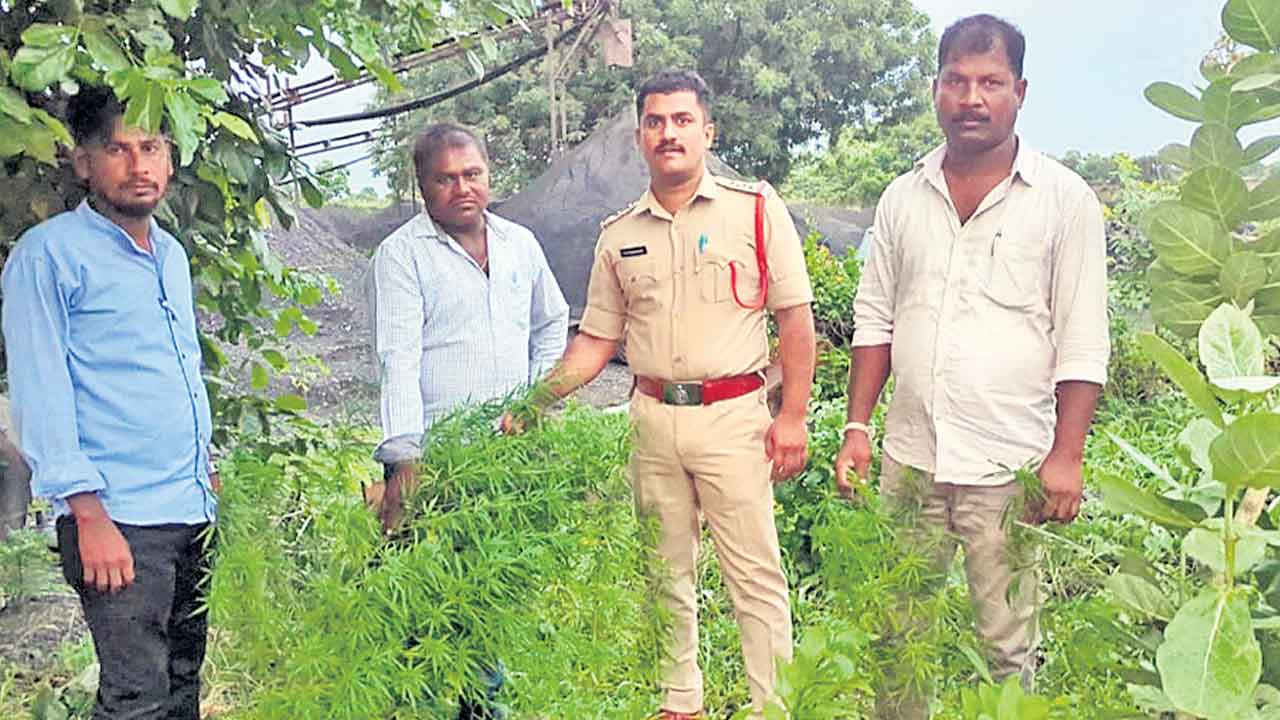 మత్తుతో జీవితం చిత్తు..!