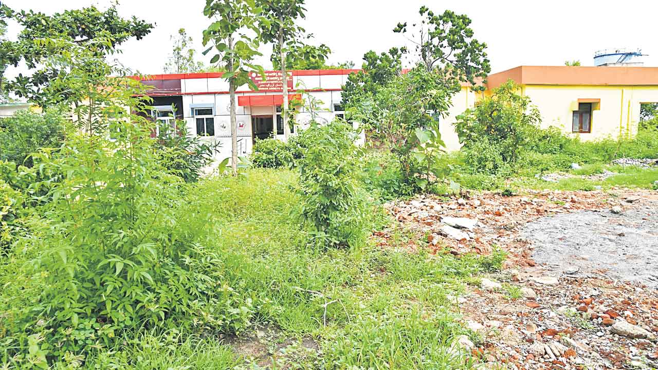 భావి శాస్త్రవేత్తలకు ఆహ్వానం