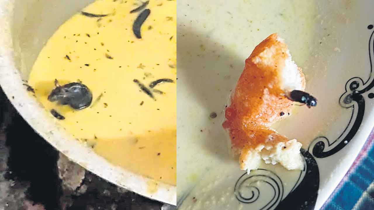 చట్నీలో ఎలుక.. వడలో ఈగ