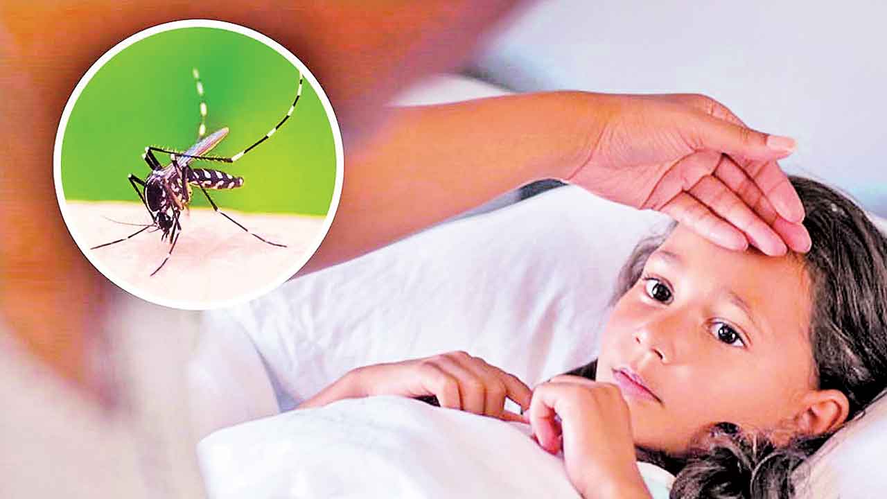 డెంగీ.. డేంజర్ బెల్స్