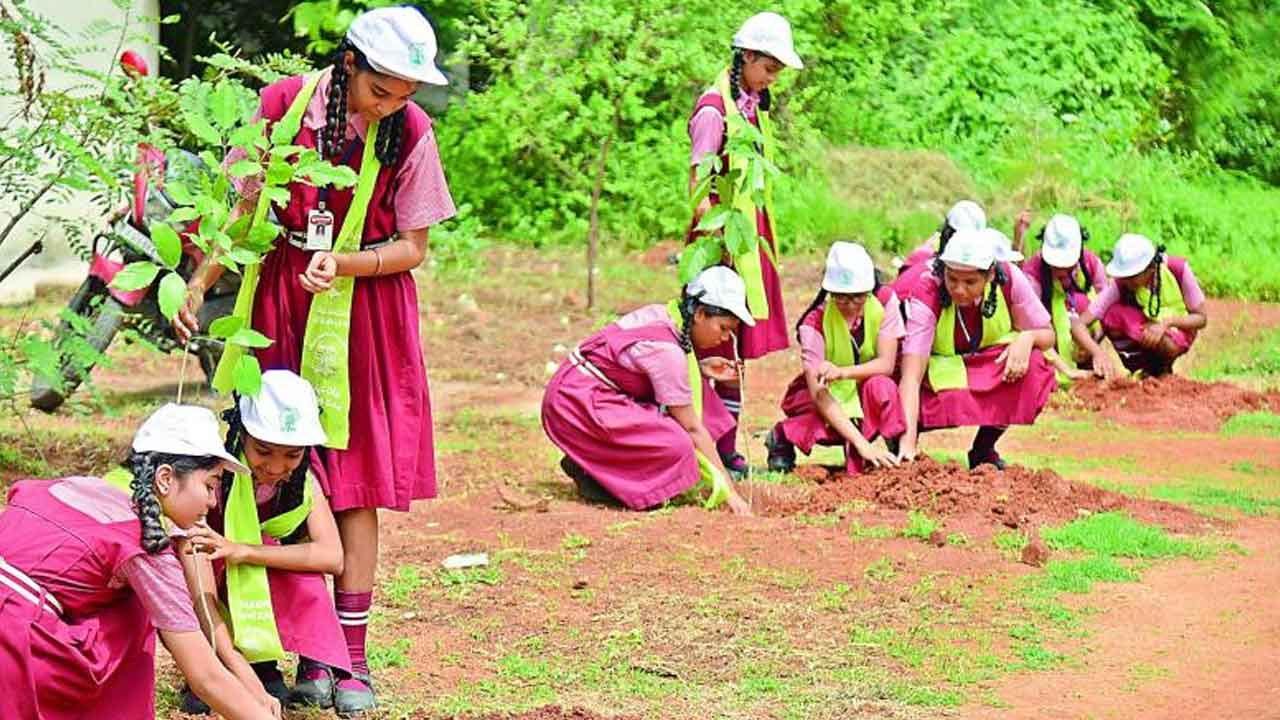Vanamahotsavam | అమలులో గందరగోళం.. వనమహోత్సవం ఆరంభశూరత్వమేనా?