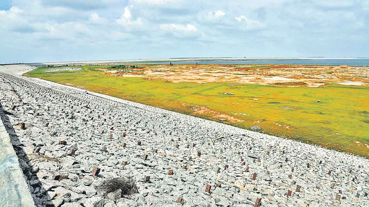 కాళేశ్వరం నీళ్లొస్తేనే నాట్లు