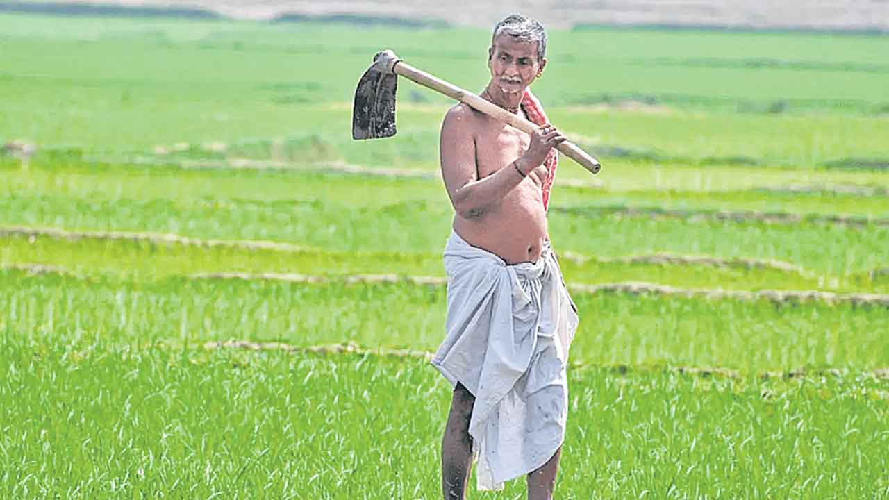 Rythu Runa Mafi | రుణమాఫీకి భూముల తాకట్టు.. నిధుల కోసం 400 ఎకరాలు కుదువ పెట్టాలని సర్కార్‌ నిర్ణయం