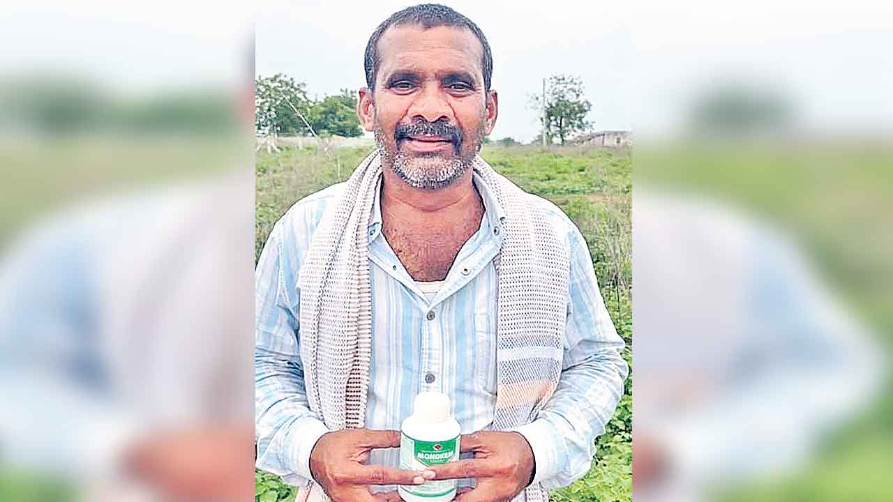 కాంగ్రెస్‌కు ఓటేసినందుకు చచ్చిపోతున్నా