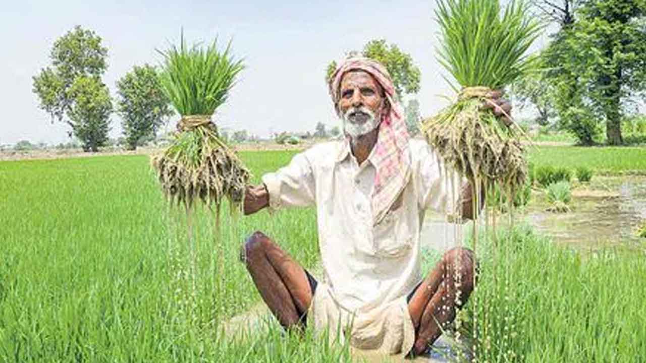 ‘రైతుల సమస్యలు పరిష్కరించాలి’