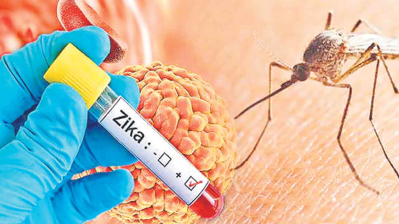 Zika Virus | మహారాష్ట్రలో జికా కలకలం.. రాష్ర్టాలు అప్రమత్తంగా ఉండాలన్న కేంద్రం