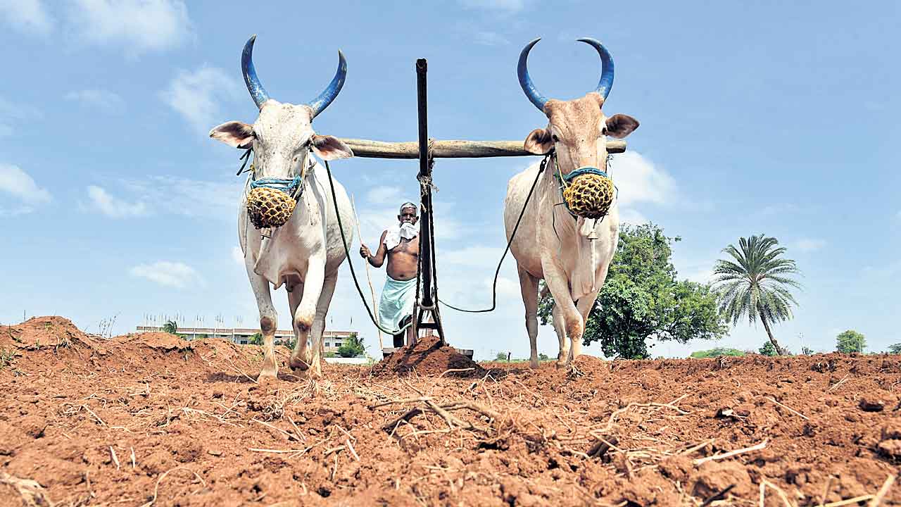 రైతు భరోసా అందరికియ్యాలె