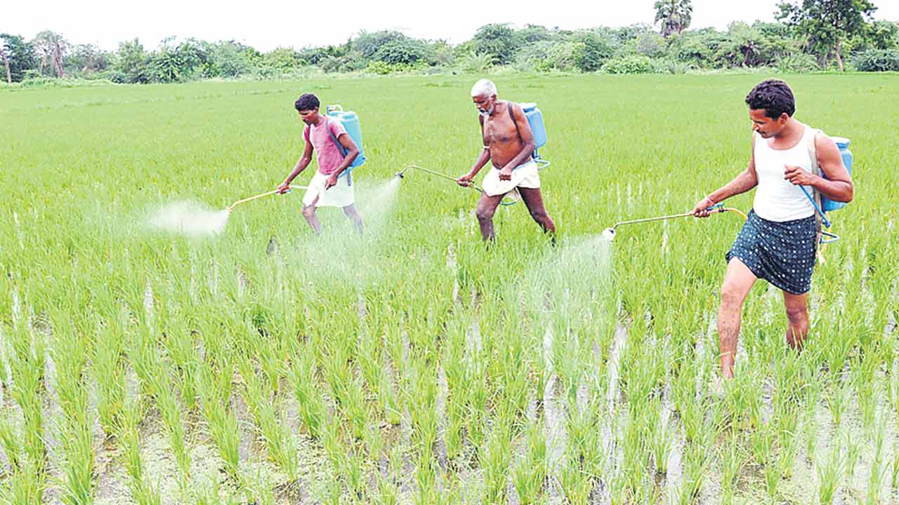 రుణమాఫీపై అయోమయం
