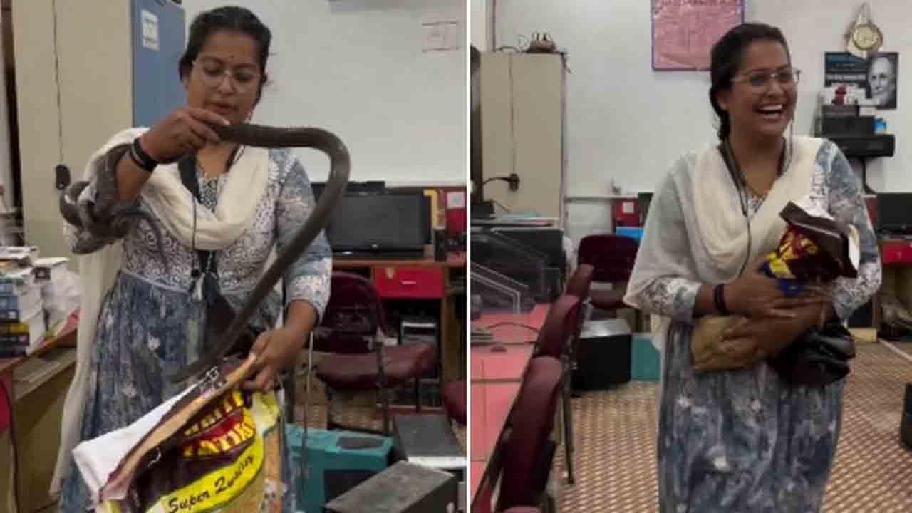 Snake Hiding | ఈ మహిళ పామును ఎలా పట్టేసిందో చూడండి.. షాకింగ్‌ వీడియో