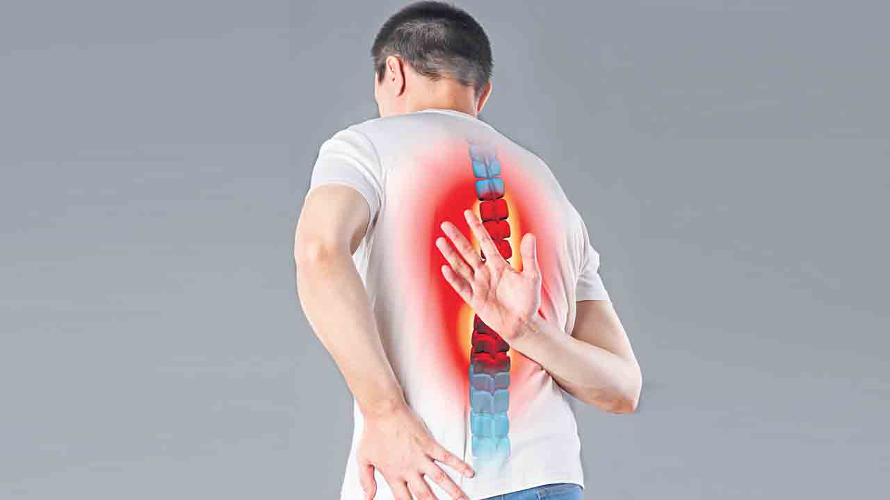 నడుము నొప్పికి ఉడుం దెబ్బ