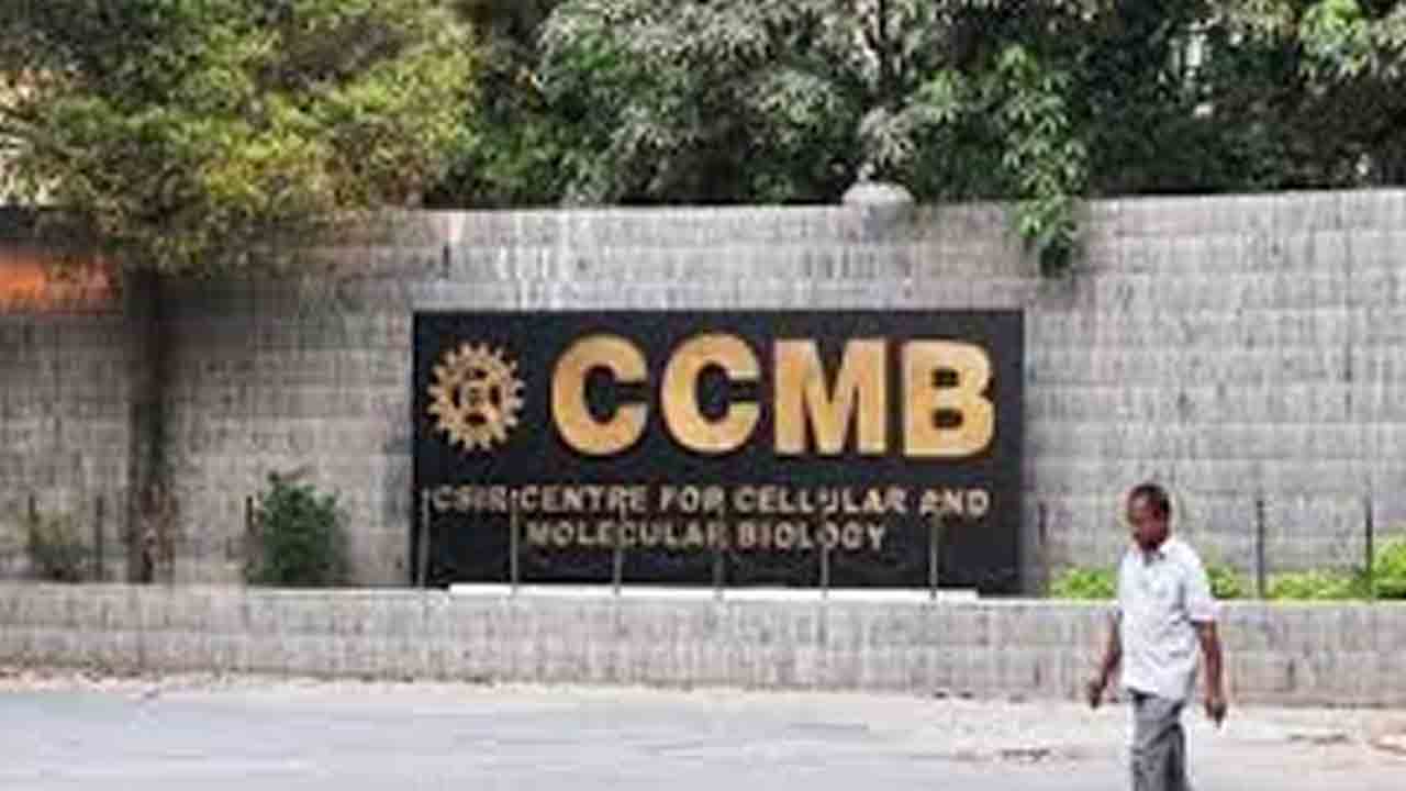 టీబీపై సీసీఎంబీ అధ్యయనం