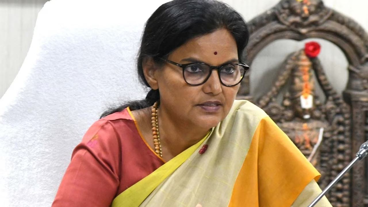 Heavy Rains | వర్షాలతో అప్రమత్తంగా ఉండాలి.. పెద్దవాగు వరద పరిస్థితిపై సీఎస్‌ సమీక్ష..