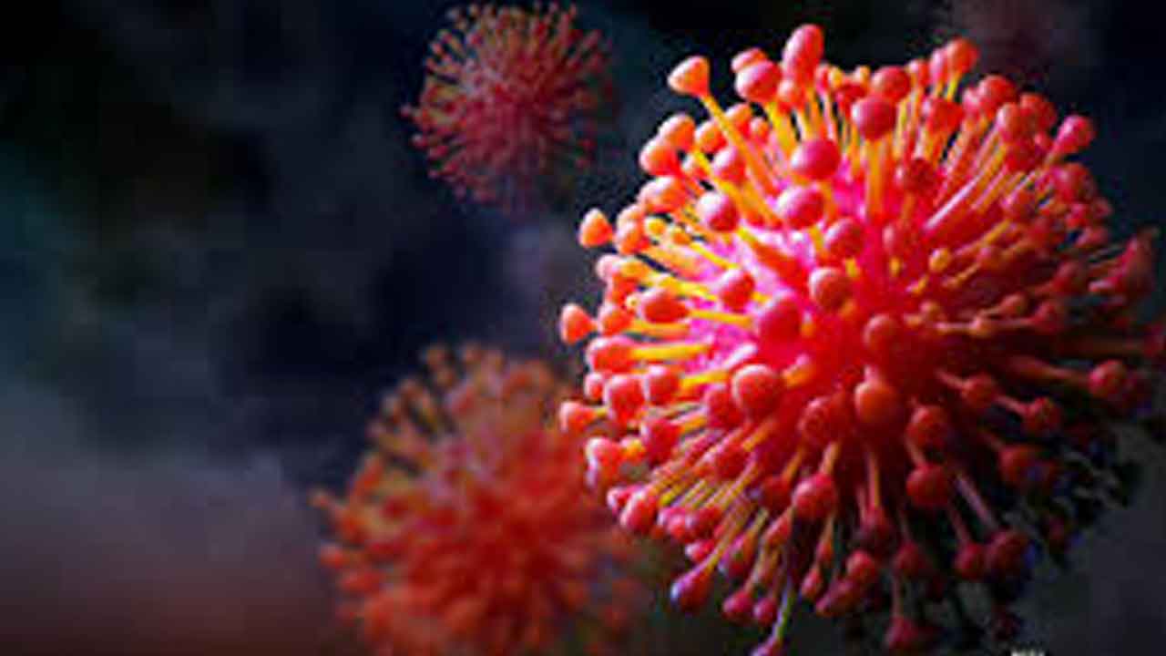 గుజరాత్‌లో చాందీపురా వైరస్‌ కలకలం