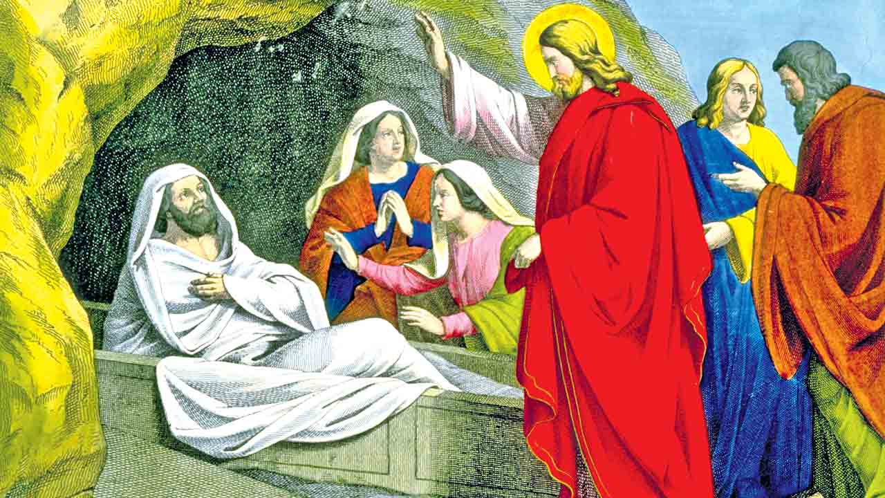 జీవం.. పునరుత్థానం