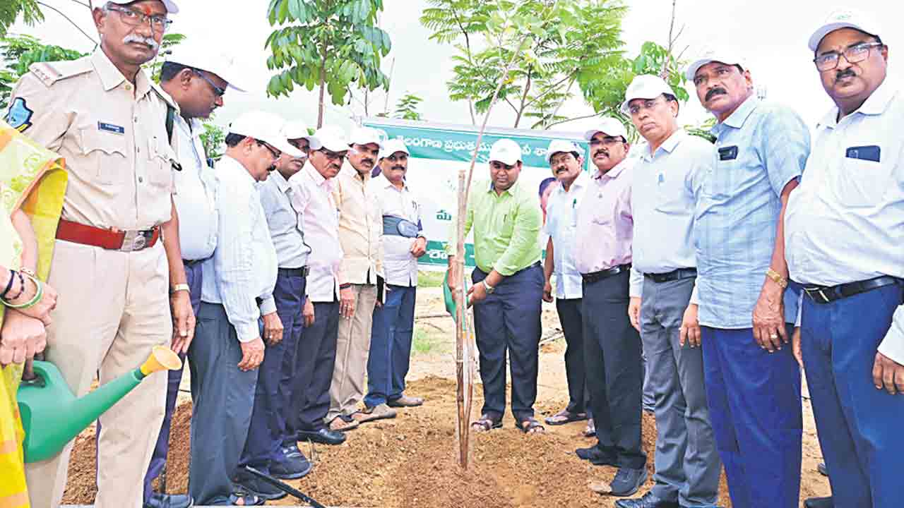 వన మహోత్సవం..లక్ష్యానికి దూరం