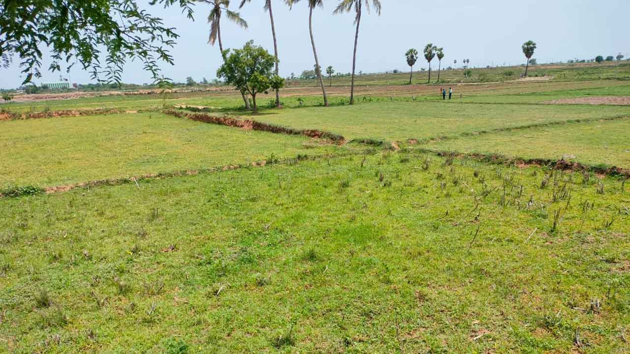 వానల్లేక సాగని ఎవుసం