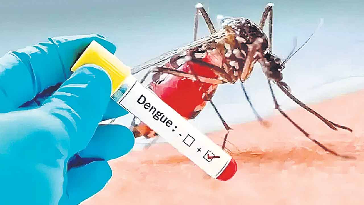 dengue cases | కర్ణాటకలో పది వేలకు చేరిన డెంగ్యూ కేసులు.. ఏడు మరణాలు