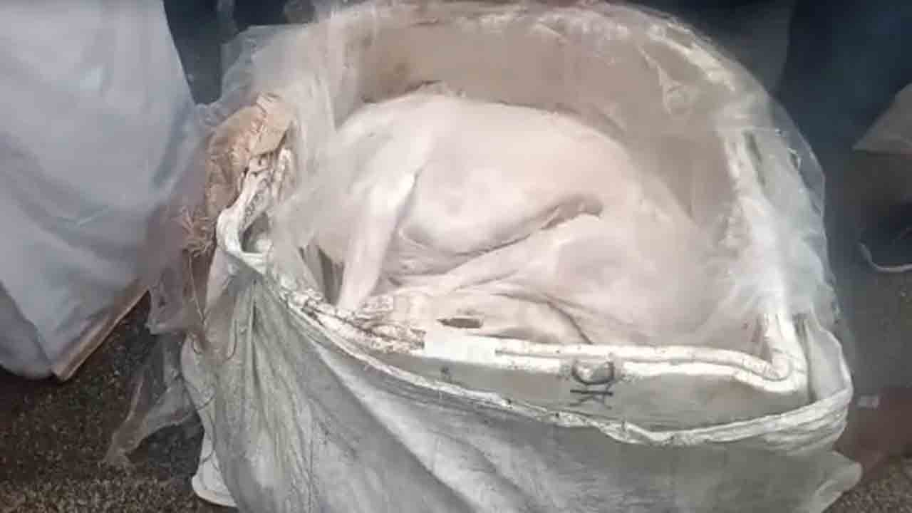 dog meat | బెంగళూరుకు కుక్క మాంసం రవాణా?.. శాంపిల్స్‌ను ల్యాబ్‌కు పంపిన అధికారులు